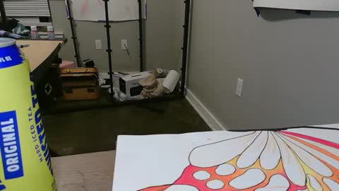 naughtylottie726 online show from November 23, 5:10 am