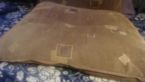 Lilly  online show from November 28, 12:08 pm