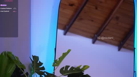 Dani 3 online show from January 18, 9:13 pm