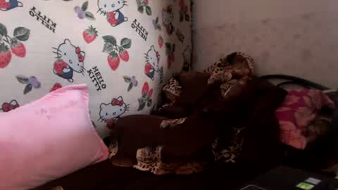 nicharee online show from June 17, 6:37 am