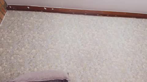 Nicol online show from September 11, 7:58 pm