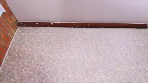 Nicol online show from November 1, 8:02 pm