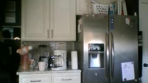 nikkib653466 online show from February 10, 6:11 pm