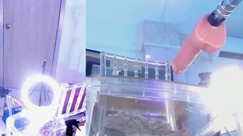 Valentina online show from September 27, 6:20 am