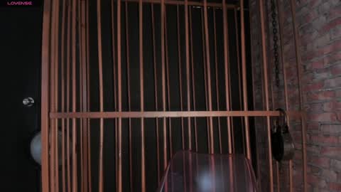 NOVA online show from January 21, 7:50 pm