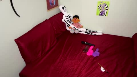 Nymphaea online show from September 21, 12:20 am