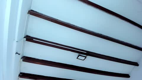 Miss Guzman  online show from February 6, 12:15 pm