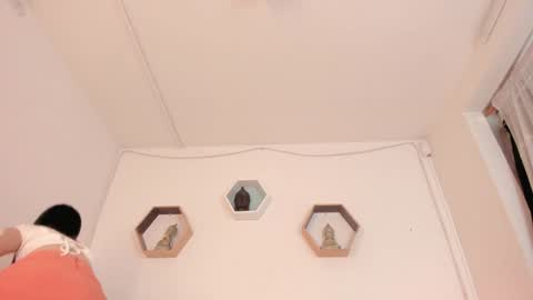 Paloma  online show from January 21, 8:32 pm