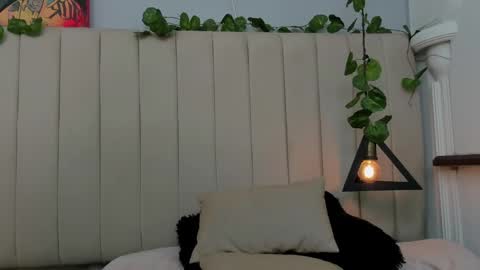 PAULINA  online show from November 11, 10:07 pm