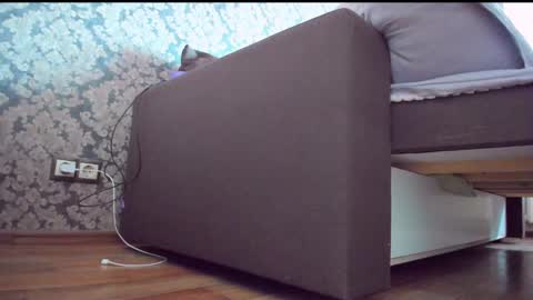 Anna online show from December 10, 9:01 am