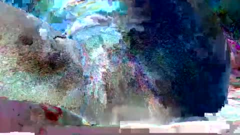 petiteme1 online show from March 12, 8:20 pm