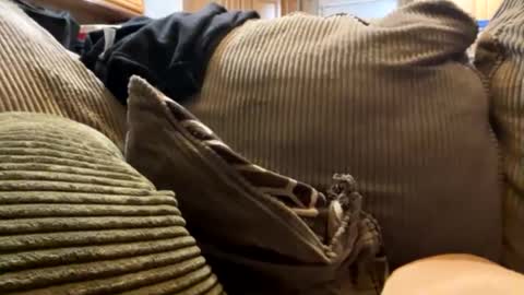 Playful trinity online show from January 27, 1:59 am