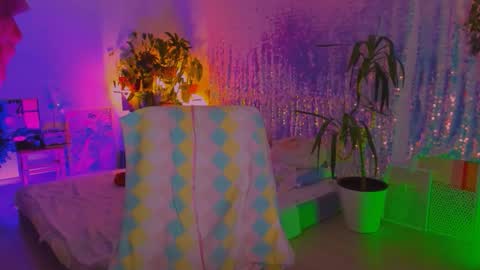 Martha online show from February 25, 4:49 pm