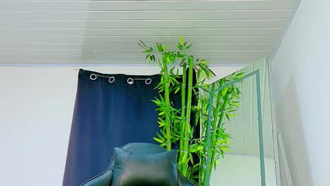 Denis online show from November 27, 9:06 pm