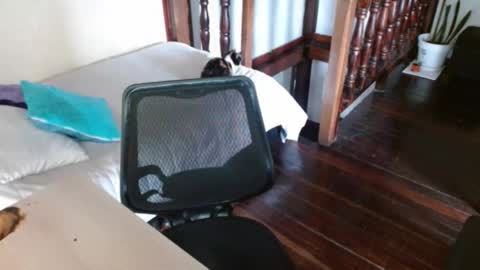 prismm_ online show from September 14, 1:20 pm