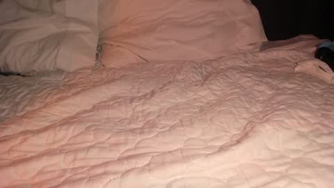 Sophy online show from January 26, 4:41 am