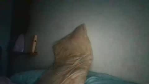 Rachelle online show from December 3, 11:46 pm