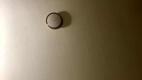 Queen online show from January 21, 3:48 am