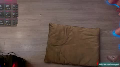 Redhead Shark online show from October 11, 11:58 am