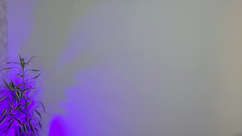 Rilley Allen online show from November 13, 8:08 pm