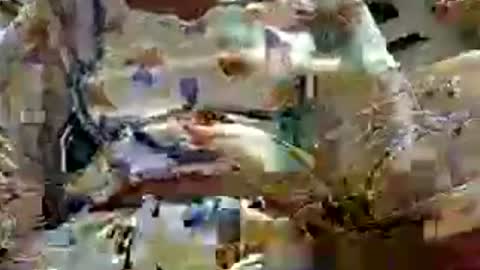roop_sexy642 online show from June 21, 7:01 am