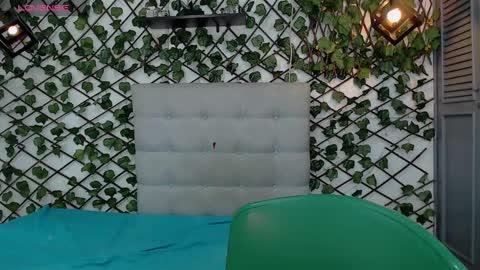 Rous online show from February 24, 3:31 am