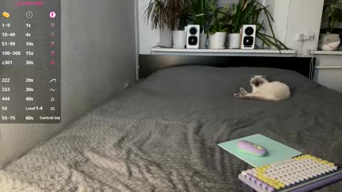 Roxie online show from October 15, 11:29 pm