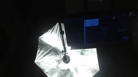 rylierouse online show from November 16, 7:03 pm