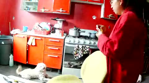 ruby  chocoholic cakeholic coffeeholic cookieholic online show from April 11, 9:07 pm