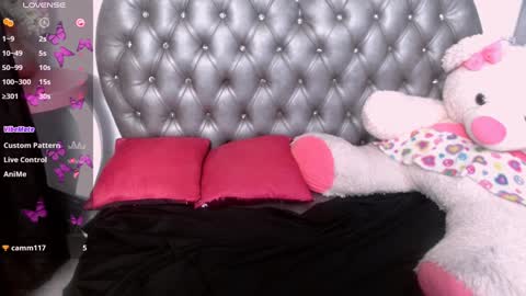 Sammy online show from January 20, 8:50 pm