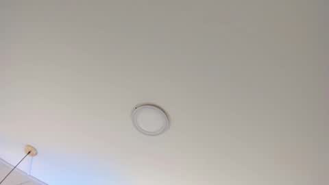   online show from January 23, 11:15 am