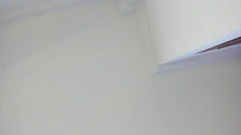   online show from February 6, 11:31 am