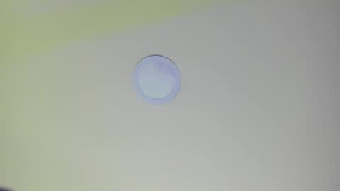   online show from February 21, 11:11 am