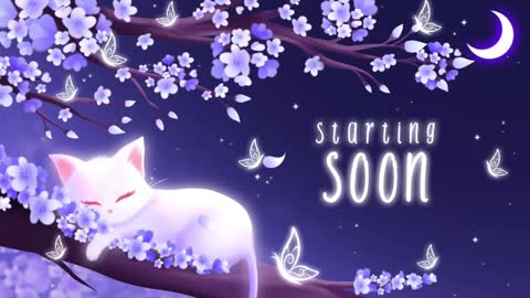 Sassy Sami Kittyn online show from January 17, 6:15 am