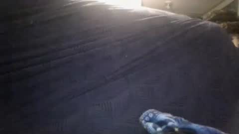 Sunny online show from February 24, 3:38 am