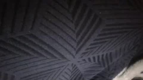 Sunny online show from February 28, 6:13 am