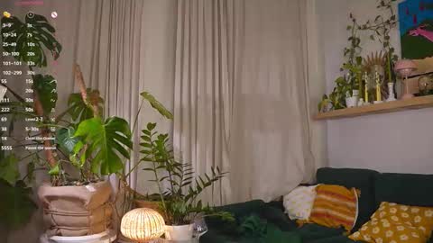 Sofia online show from February 3, 12:54 am