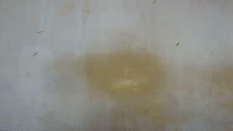 sexy_candy9 online show from November 11, 9:50 am