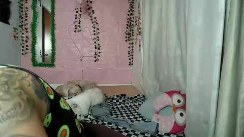 sexy lolas online show from October 8, 1:54 am