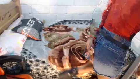 sexyjustin202 online show from September 13, 12:51 am