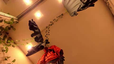 shadow_raffi online show from November 7, 3:56 am