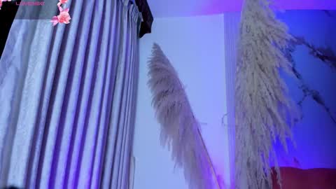 Lady Shauna online show from November 16, 4:36 am