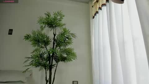 shazam online show from December 17, 1:26 pm