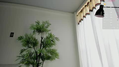 shazam online show from December 19, 1:47 pm