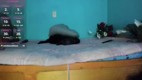 shera hade online show from November 29, 2:26 am