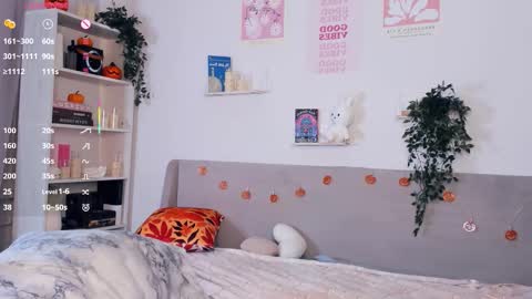 Stella  online show from November 4, 8:41 am