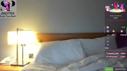 short sweetpea online show from March 1, 9:18 am