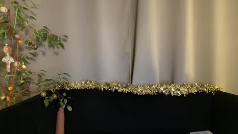 Amelia online show from December 28, 7:01 pm