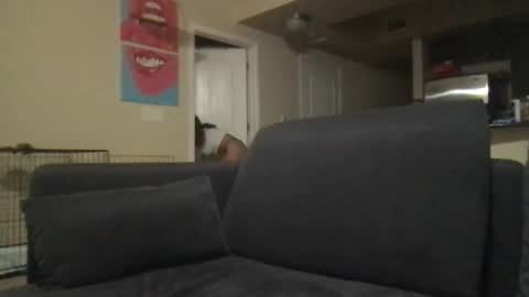 SierraLovelyxx online show from December 6, 3:19 am