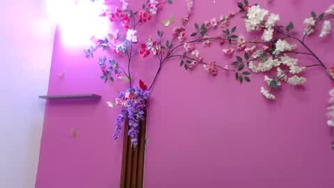 sofia online show from April 19, 6:10 pm